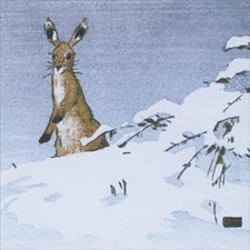 Hare in Snow Brown Rabbit Standing on Hind Legs Box of 8 Winter Holiday  Cards