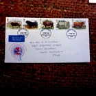 CATTLE 5 STAMPS ROYAL MAIL FDC AIRMAIL POSTALLY USED TO AUSTRALIA 1984