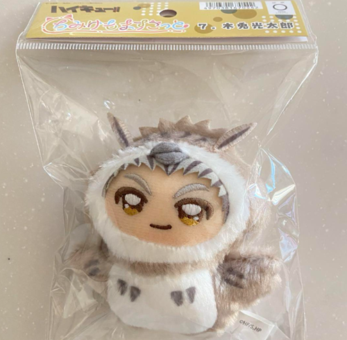 Haikyu!! ChimiKemo Plush Mascot Kotaro Bokuto Fukurodani | eBay