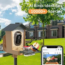 Smart Bird Feeder with Camera Solar Powered 2K Live Feed AI Identify Bird House