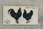 Players, Poultry, Croad Langshans, Black #22