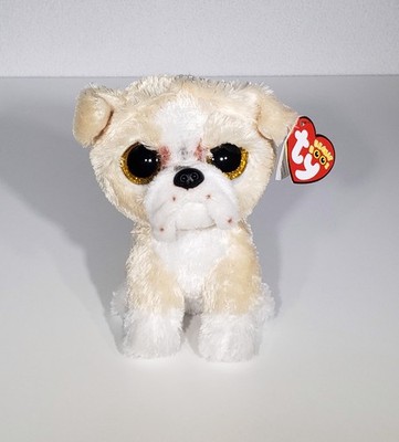 NEW TY Beanie Boos POOCH The English Bull Dog Pup Plush Stuffed Animal Toy 6''NWT