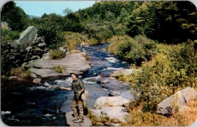 Postca Vly Creek Fishing Sportsman Fleischmann's NY Catskill Mountain Resort