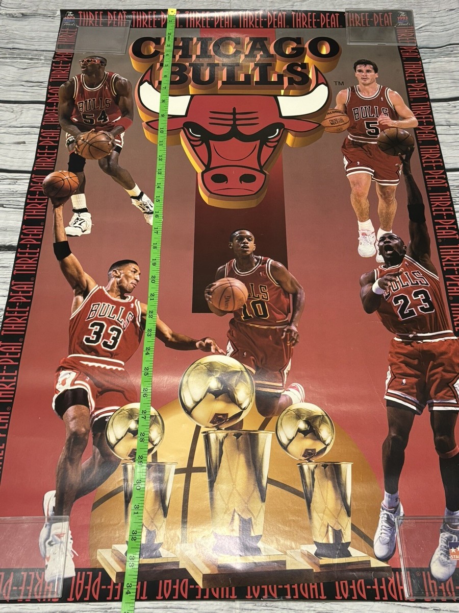 Vintage Chicago Bulls 1993 NBA Finals Three-Peat Poster Original