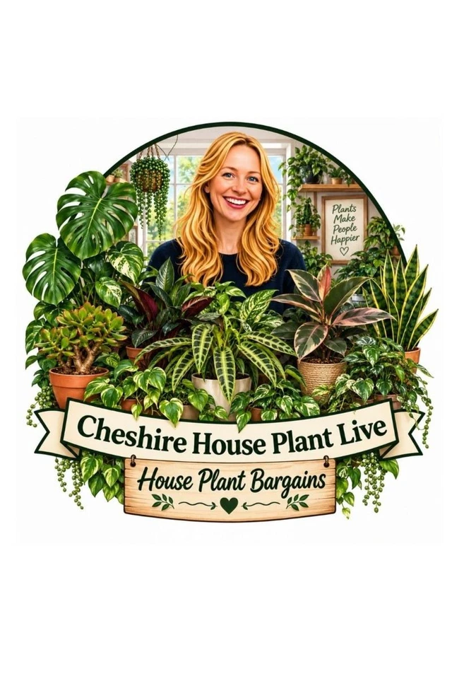 💚🌸 House Plants 🌸💚 New Stock 🌸💚 New Plants !  🌸💚