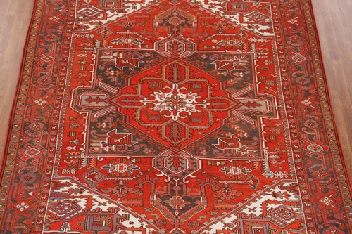 Alfombra de salón tradicional anudada a mano lana óxido color vegetal 8x11 - Imagen 4 de 19