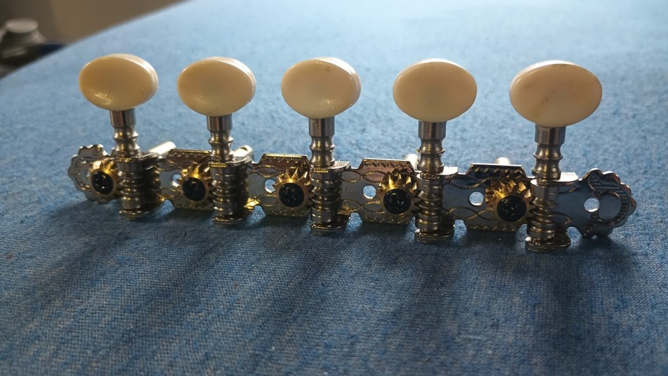 5X2 Bajo Quinto Slot Peghead Machine Heads 10 String Acoustic Guitar