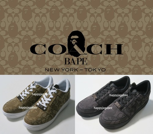 bape sta coach