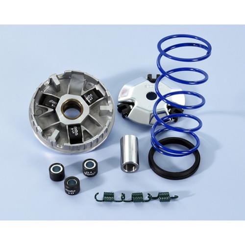 Variateur POLINI Hi-Speed-Motor Minarelli Vertical pour Moto Epargne Accessoires