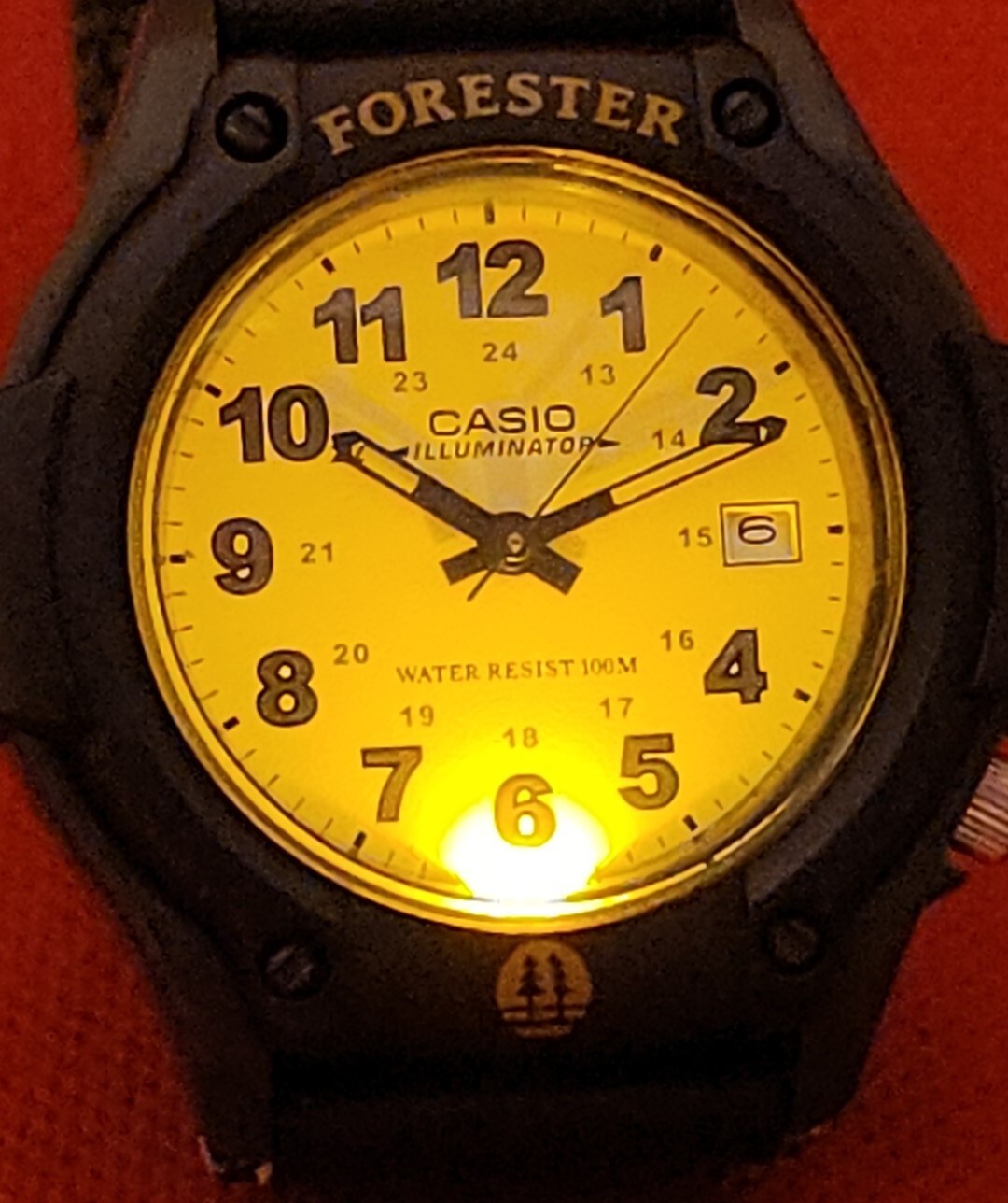 Picture 13 of 14
