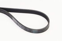 Continental Ctam Keilrippenriemen 6PK1173 FüR Audi Renault CitroËN Honda