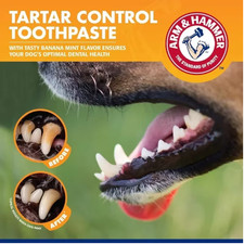 Dog Cat Dental Care Kit Toothbrush Toothpaste Set Reduces Plaque Tartar