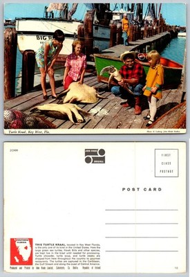 Vintage John Hinde Key West Florida Turtle Kraal Postcard