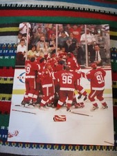 1998 DETROIT RED WINGS Stanley Cup Celebration Color 8 x 10 Photo 