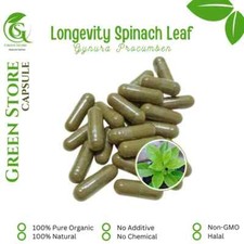 100-500 CAPSULES Gynura procumbens Longevity Spinach Sambung Nyawa 600mg Fresh