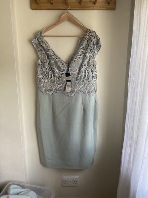 Phase Eight Mother Of Bride/ Wedding Guest Dress BNWT size 18