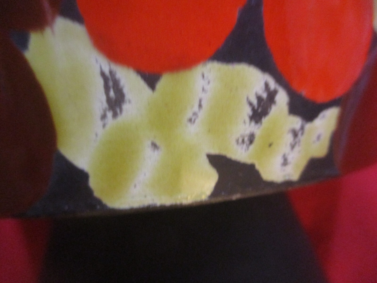 Bild 5 von 9