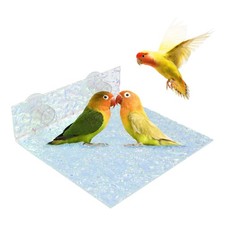 Bird Perches, Acrylic Colorful Standing Platform for Cage, Parakeet Cage Acce...