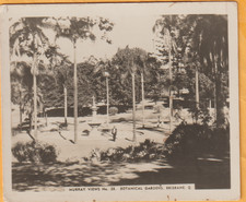 BOTANICAL GARDENS BRISBANE QLD 82MM 71MM MURRAY VIEWS PHOTOGRAPH CARD C1940