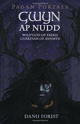 Pagan Portals - Gwyn ap Nudd: Wild god of Faery, Guardian of Annwfn, Forest..