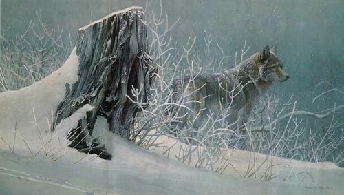 Robert Bateman Winter Tracker Signed & Numbered With Certificate