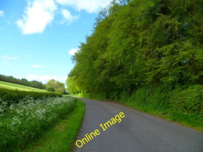 Foto 6x4 von Bäumen gesäumte Straße auf dem Weg nach Lasham c2014