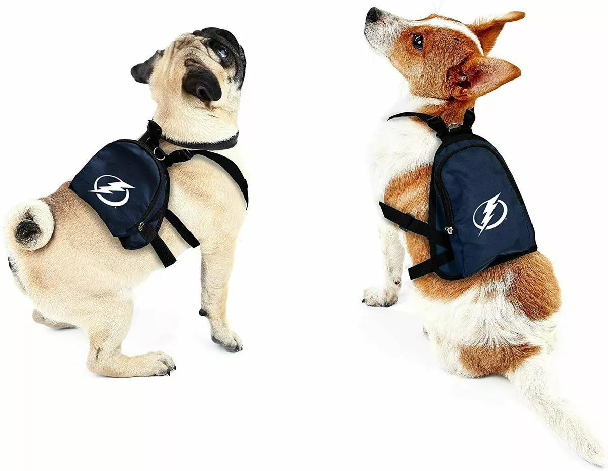 tampa bay lightning dog shirt