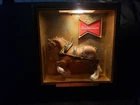 Budweiser Beer Clydesdale Horse Shadow Box Light Up Sign Anheuser-Busch Vintage