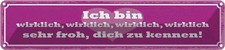 Blechschild 10x46 cm bin wirklich froh dich zu kennen Spruch Zitat Deko Geschenk