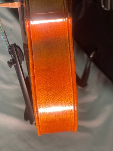 Eastman VA 80 13" Bratsche - Bild 9 von 24
