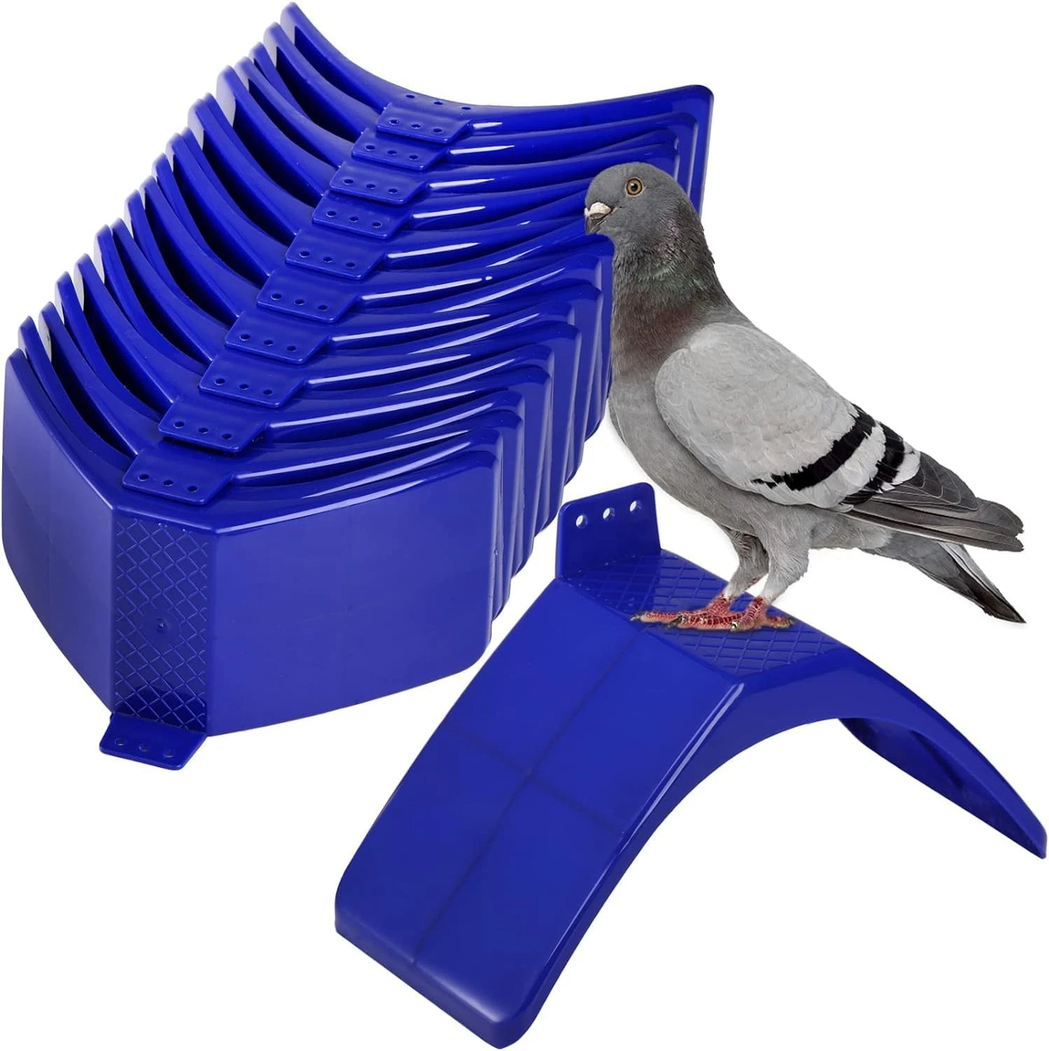Coloch 20 Pcs Dove Rest Stand, Lightweight Pigeon Perches Plastic Birds blue