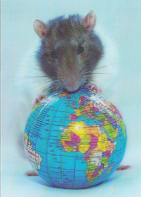 3 D Ansichtskarte: niedliche weiß-braue Ratte und Erdkugel - white rat and globe