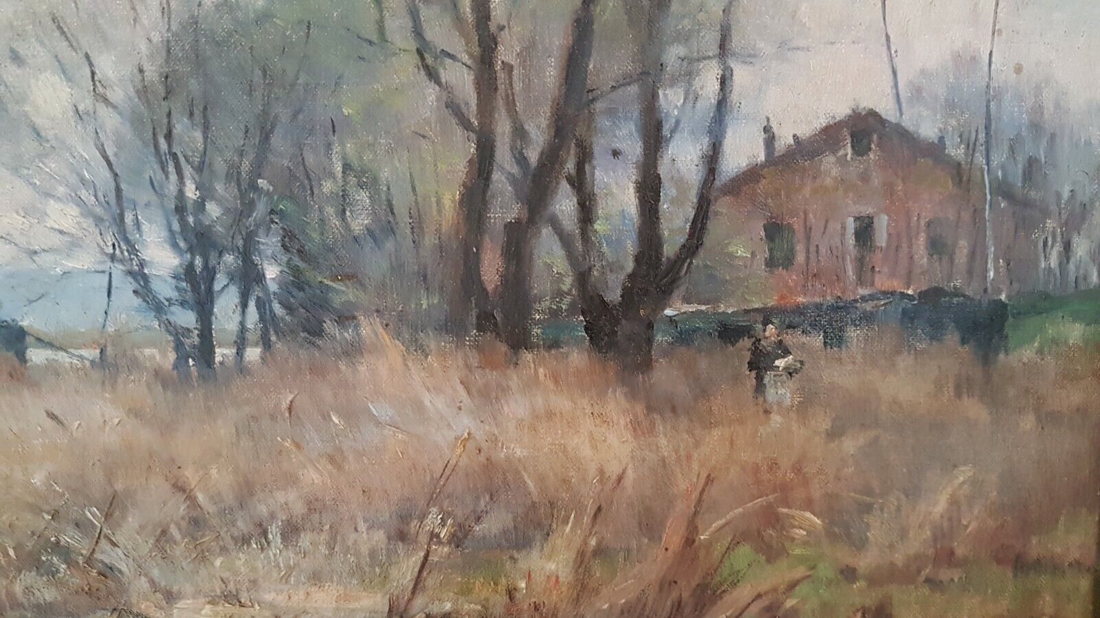 Foto 5 di 12