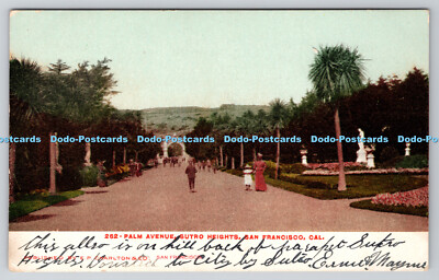 R746596 Cal San Francisco Palm Avenue Sutro Heights E P Charlton 1907