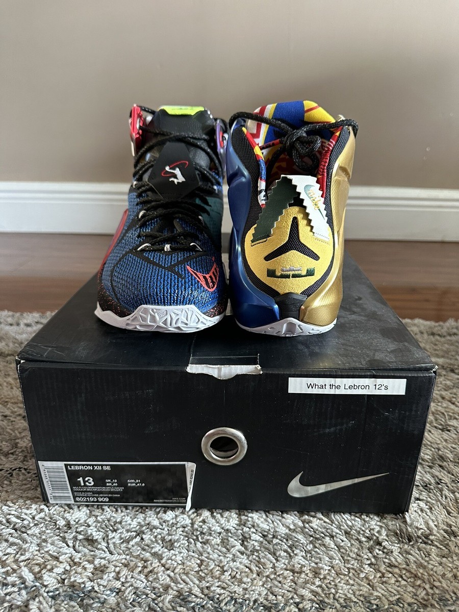 LEBRON Ⅻ SE（ 'WHAT THE LEBRON'）/レブロン12 Nike LeBron 12 What the LeBron Men's - 802193-909/812511-909