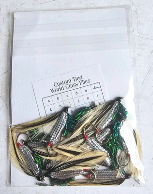12 Fulling Mühle Angelfliegen Silver Darter S8 GP04 
