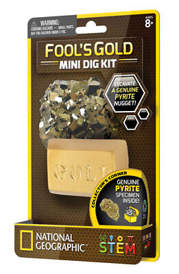 Carded Mini Dig Fool's Gold - PLAYNOW! Toys and Games