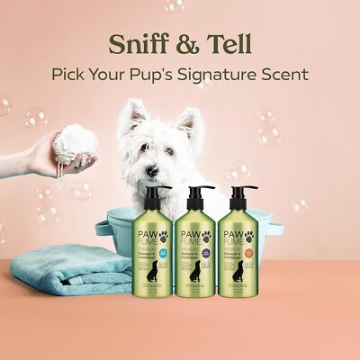 Best Shampoo For Dogs Conditioner Bathing Dogs With Human Shampoo