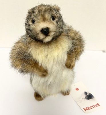 Hansa MARTY MARMOT 9'' Plush NWT 2015 Realistic Stuffed Animal