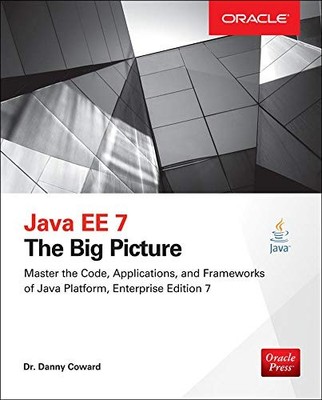 JAVA EE 7: THE BIG PICTURE By Danny Coward *Excellent Condition*