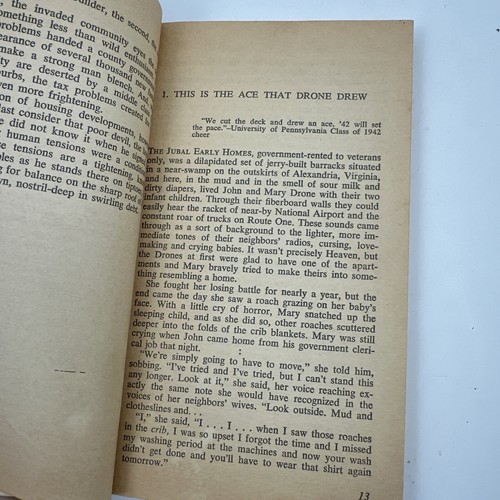 The Crack in the Picture Window John Keats Ballantine Books PB Dolphin Edition - Picture 7 of 9