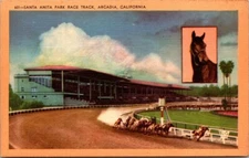 Postcard Santa Anita Park Race Track Arcadia Cal/Linen