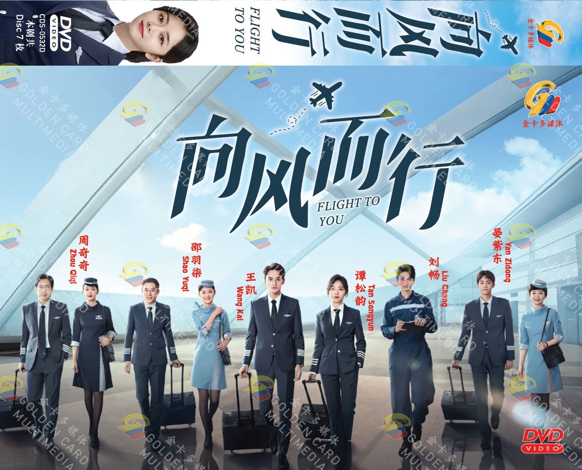 DVD CHINESE DRAMA FLIGHT TO YOU 向风而行 VOL.1-39 END ENGLISH SUBS