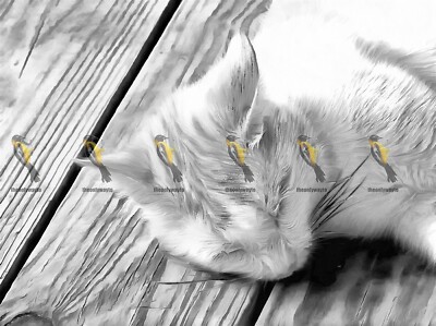 Hund müde Katze, 2020, moderner Reproduktionsdruck