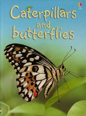 Caterpillars and Butterflies (Beginners), Stephanie Turnbull, Used; Good Book