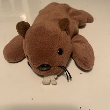 Ty Beanie Babies  Bucky The Beaver June 8, 1995 Birthday *Retired No Tag