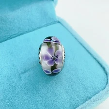 Authentic Multicolour Murano Glass Bead 925 Silver Core European Charm