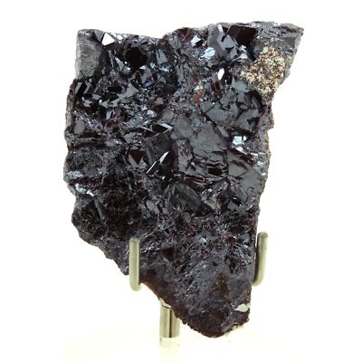 Steine Und Mineralien. Kupferkies. 127,8 Ct. Milpillas Mine, Sonora, Mexiko.