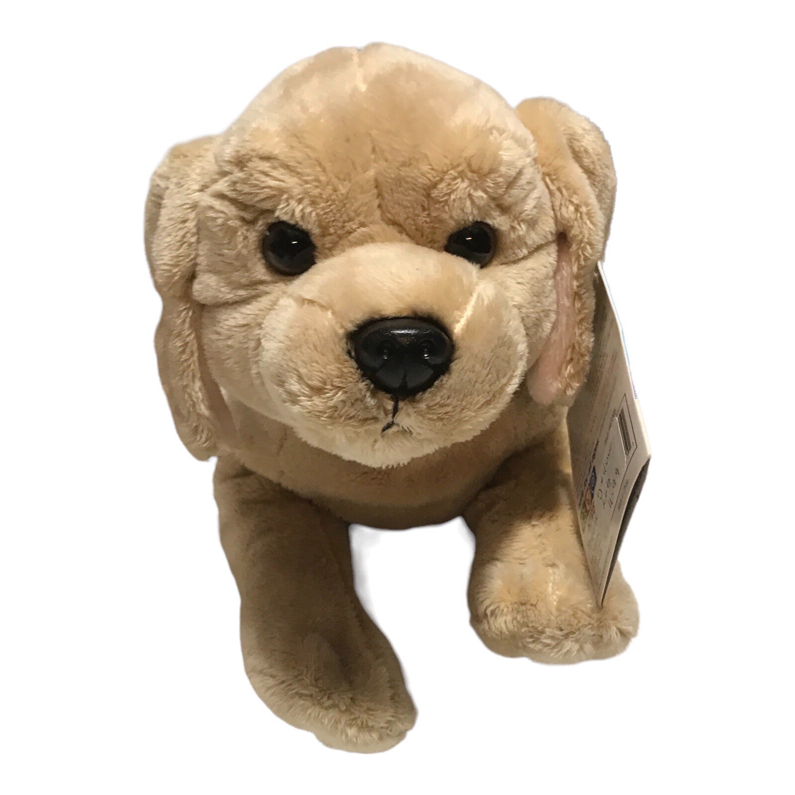 Can Dogs Be Allergic To Stuffed Toys