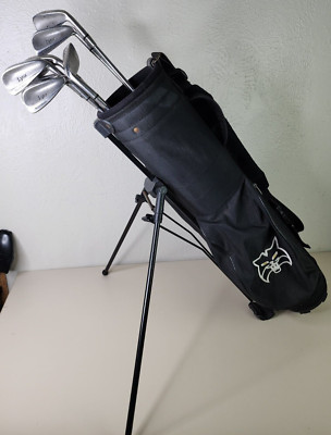 LYNX Golf Master Model Iron Set In Bag RH 2,4,5,6,7,8,9 Irons R Flex Dynalite